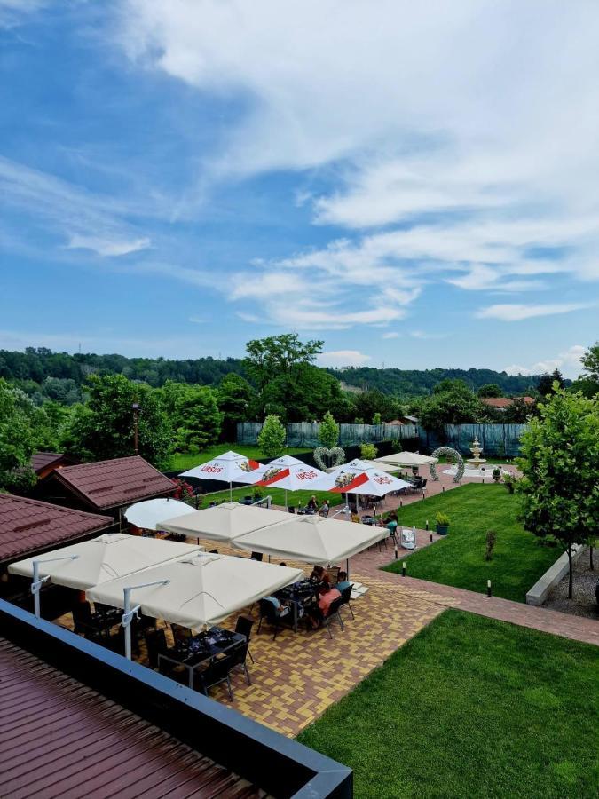 Poiana Verde Garden House Poiana Campina Dış mekan fotoğraf