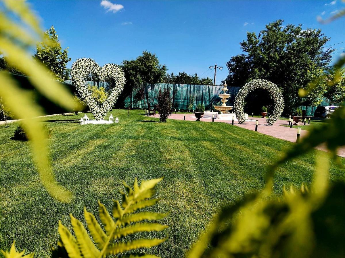 Poiana Verde Garden House Poiana Campina Dış mekan fotoğraf